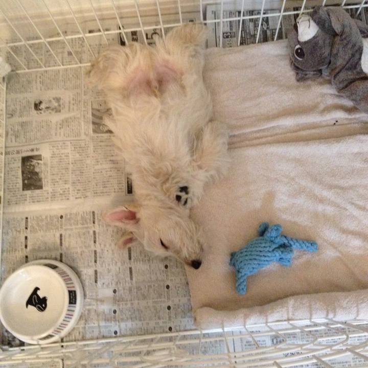 Cd73b7a4 815b 4d27 854e 9fd5555dc2f5 1558737443061