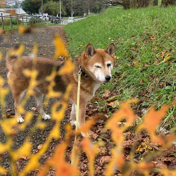 Cd741bdc 4d21 4014 85ac 8a8b49328995 1634355861224