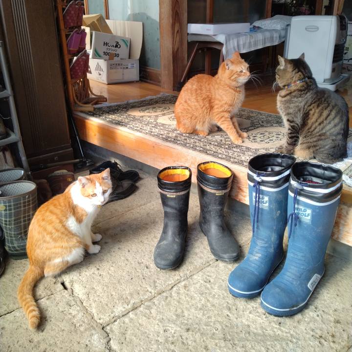 Cd742db3 4194 4522 9f85 4399a562f8b6 1740900825652