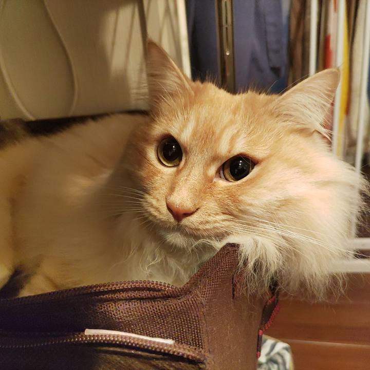 Cd7437c6 c2aa 4cf1 b600 d6726fd92154 1708466956799