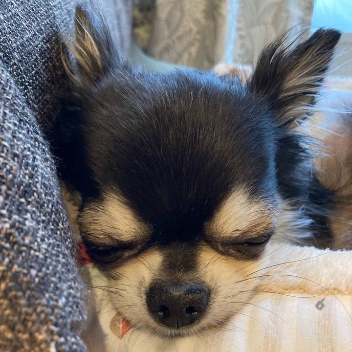 Cd749113 4aa5 48b0 abf6 a1b2291657a1 1708858286572