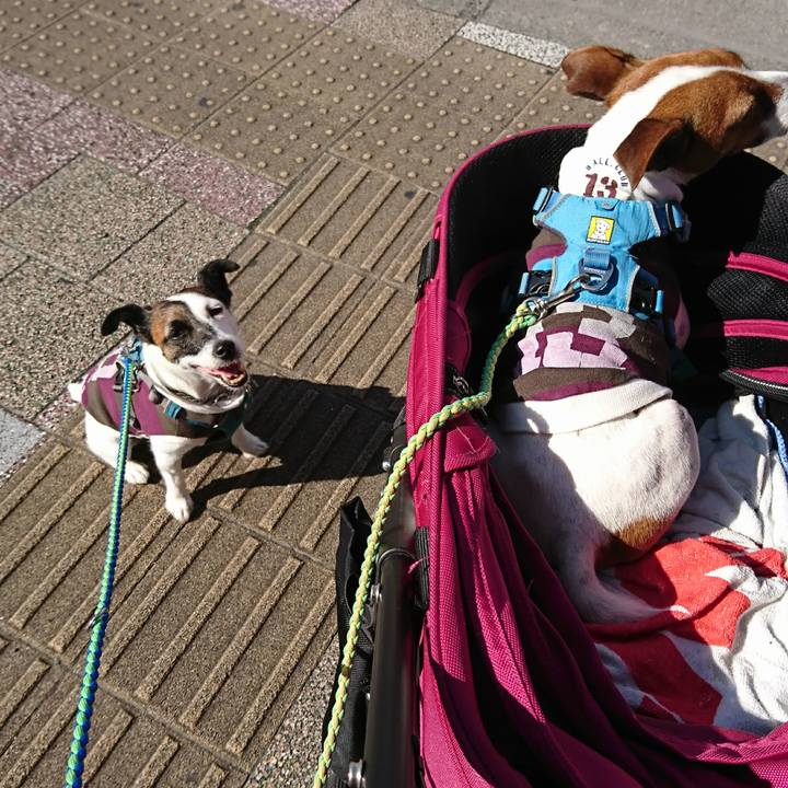 Cd74928a 1657 4667 8996 65f72012f04b 1604126119126