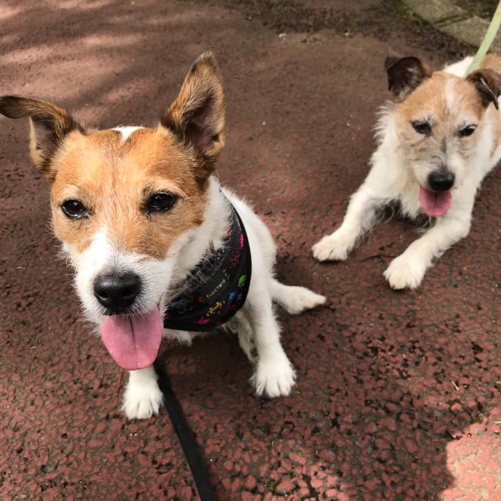 Cd749ebb 0eab 42b6 bb4b 392e3ecde226 1531142830298