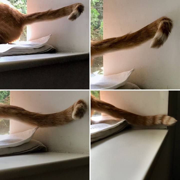 Cd74bf82 a3d9 4030 bac8 b88567e409c8 1532671370223