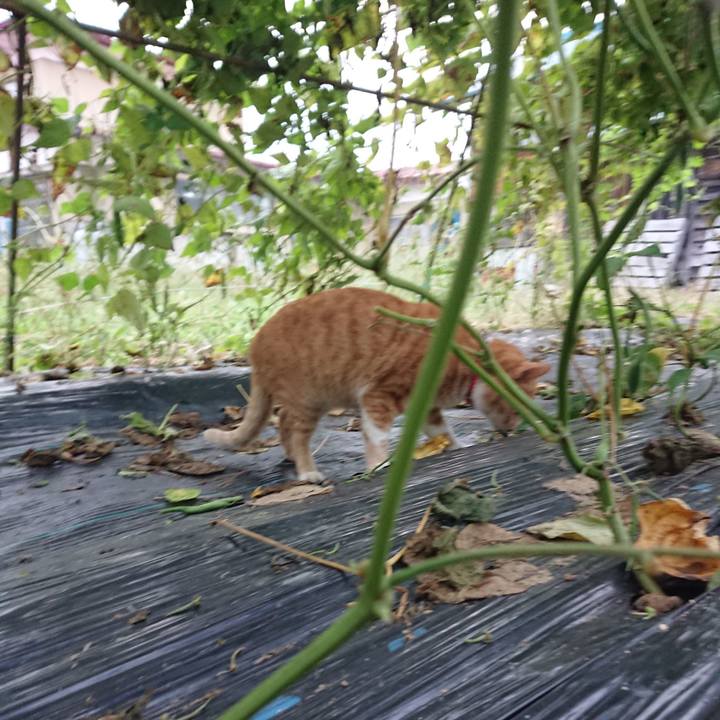 Cd74dd77 1deb 4034 b689 720be275745e 1568755450040