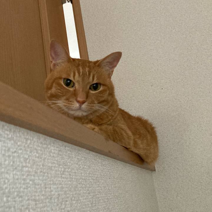 Cd74e311 f5b5 4915 befa 1e43a1af7f21 1757568737957