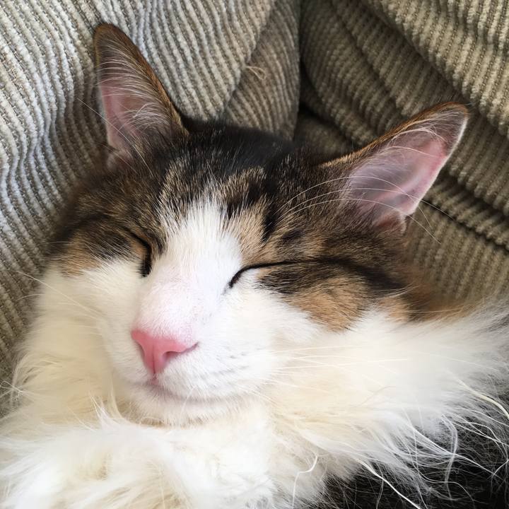 Cd751bb9 7647 4d0c 9d1e fb1078b32945 1521526049600