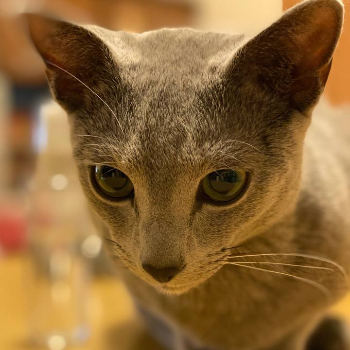 Cd757a26 2819 4610 bcb1 c4777f4597f6 1615987832876