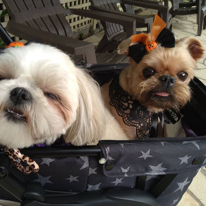 Cd75c5af 1ee8 48b9 b26e 5347fbffab17 1635637097730