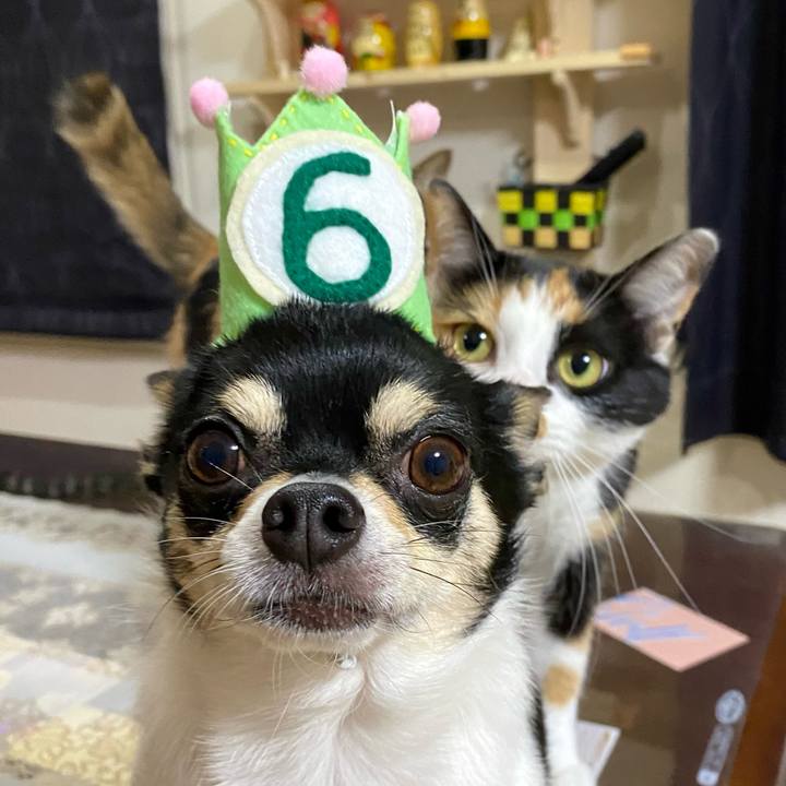 Cd75c9bb 5513 46b1 a26c 59d34289aa59 1626520641170