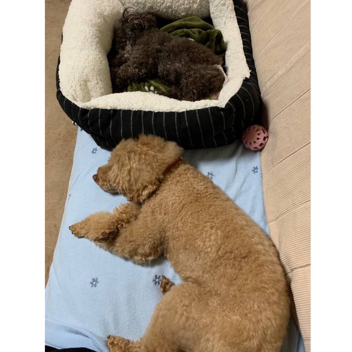 Cd76211d 77e3 4aaa 8f57 9941aab47323 1572089525178