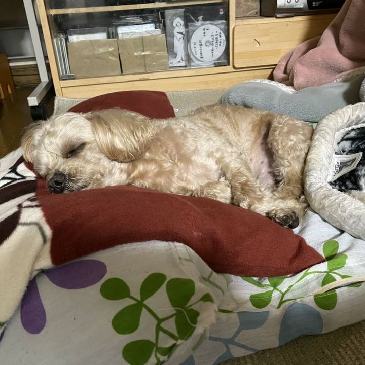 Cd7638e2 a4be 45bf 962f 0b0aeeece8c8 1584573877747