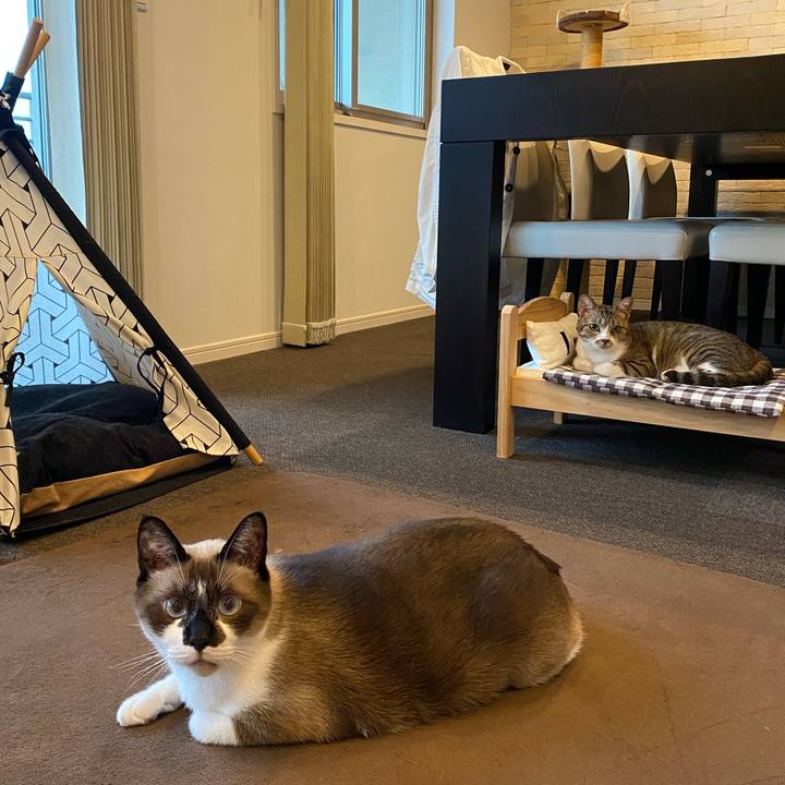 Cd7657a6 9cfe 4ae1 ad70 1628ec500b9b 1594282506343