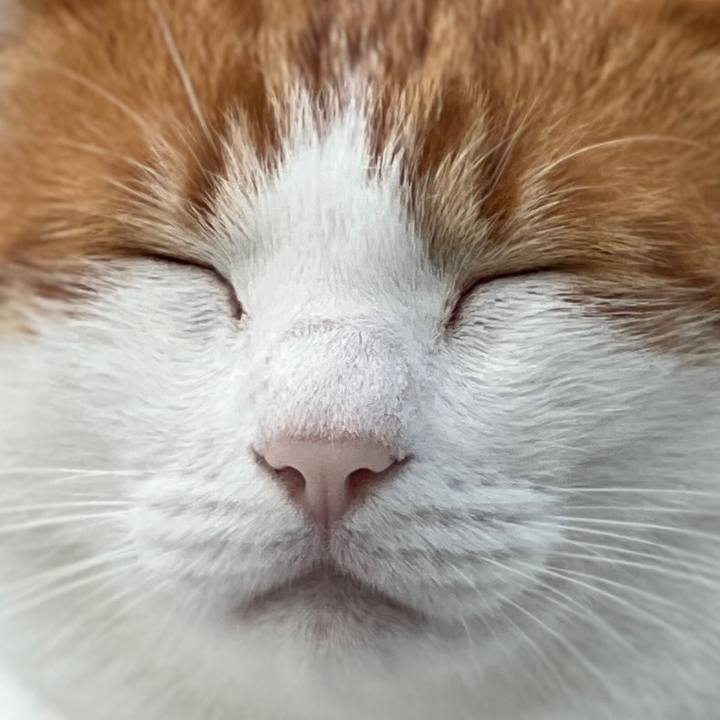 Cd76633f 4751 458b ab7f fed1173e44ec 1665446578011