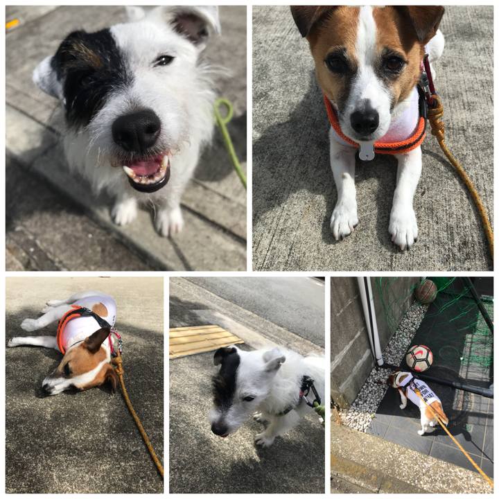 Cd76666b 1d9e 4e95 8079 22ba38babe0c 1530057400479