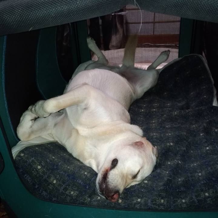 Cd7670b3 0bd0 4a9e aeef e886e5062243 1573491886102