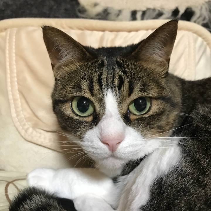 Cd76b835 36e7 43c8 85a0 1ddd90e703c2 1530357892369