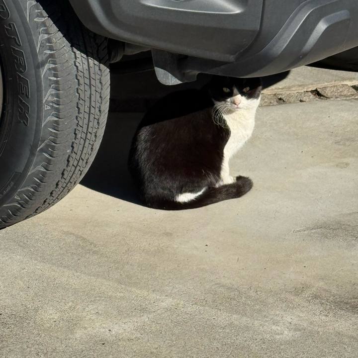 Cd76c544 7e7c 4d84 a907 d1604f953d65 1769136239601