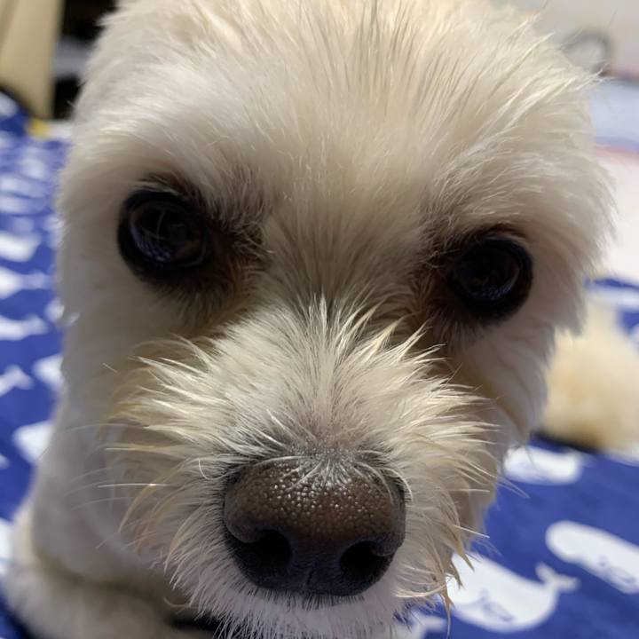 Cd76f6e1 cb95 4e13 ad44 65bc12402a65 1595077267558