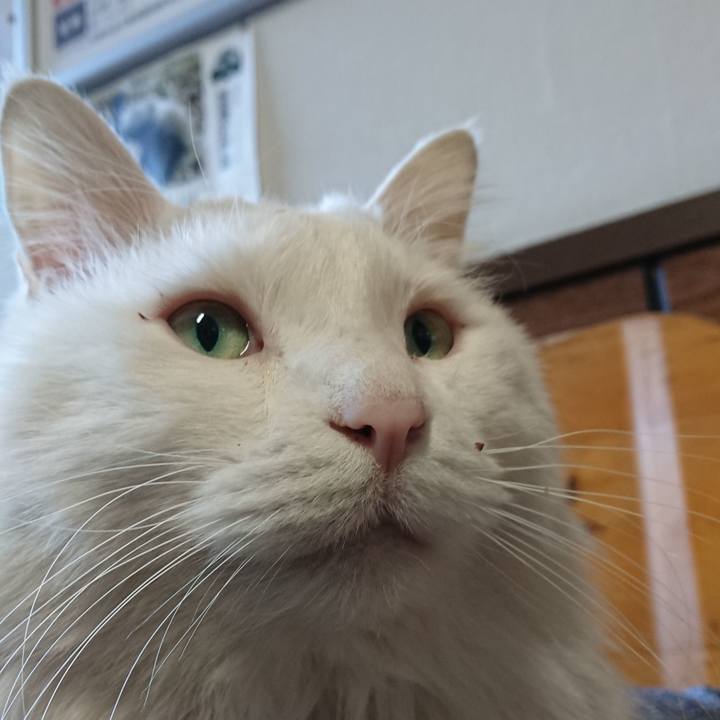 Cd76f9aa ca27 4923 a61f 13ec11c17cd1 1554330343162