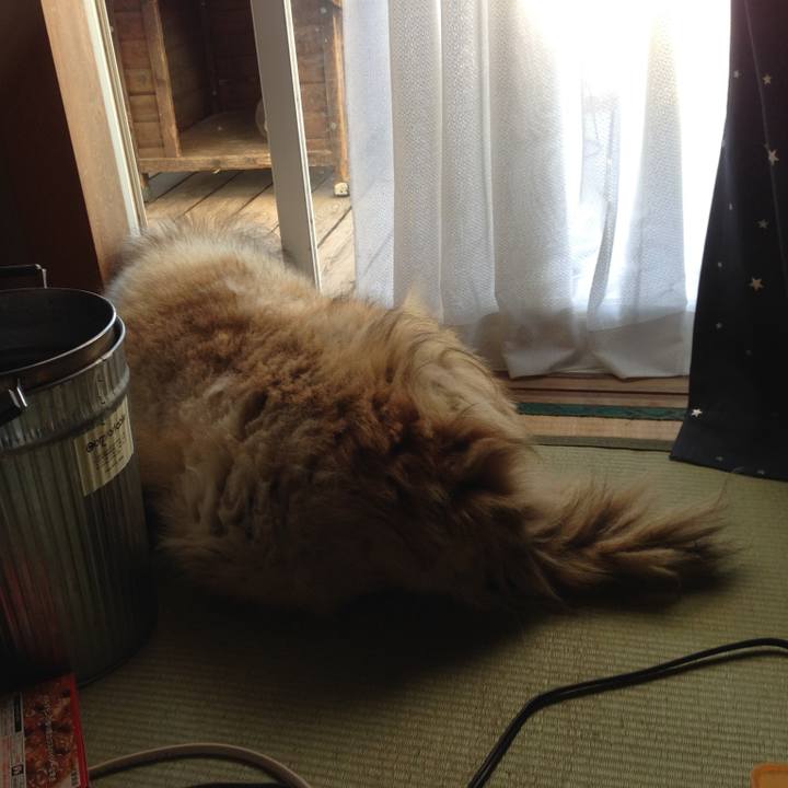 Cd76fd1c b86d 4925 9a56 eee192a260c3 1610068664802