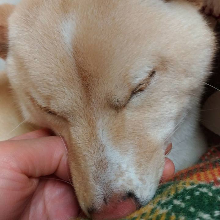 Cd770af0 3bec 4280 8776 9c3329a9828e 1515673877414