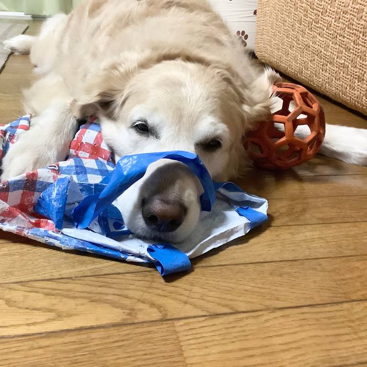 Cd772139 4b88 4097 ad2f 34066c5c0a48 1583791426694