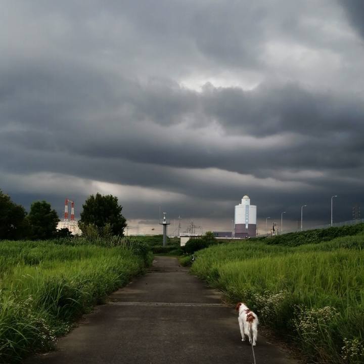 Cd772cb4 b68a 41e2 b7e0 f40d1fb82af3 1594813159229