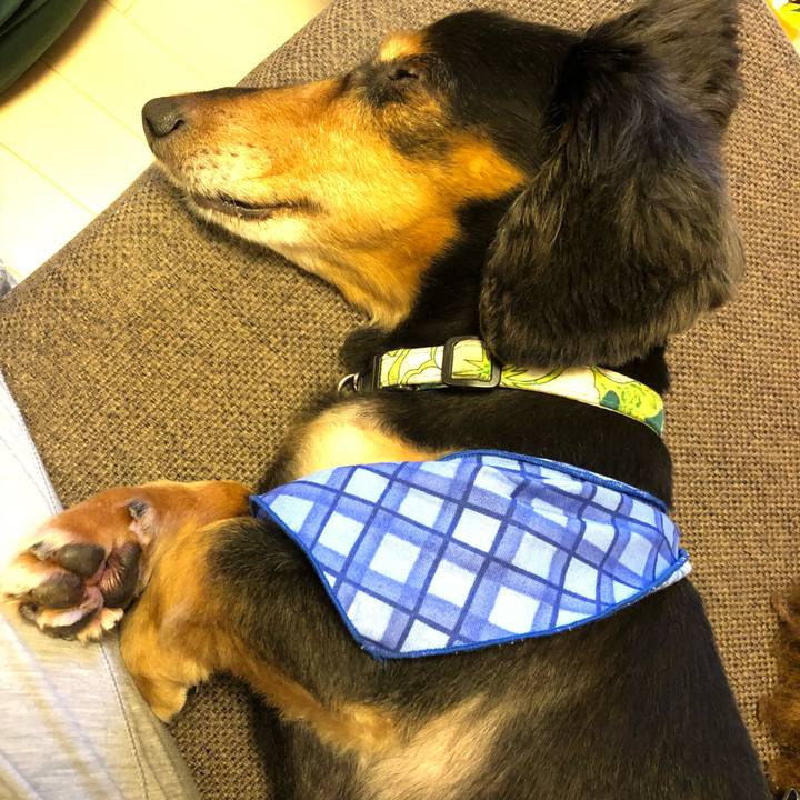 Cd77438e 4b45 4174 b26b 045ade3e9cb8 1537793921796