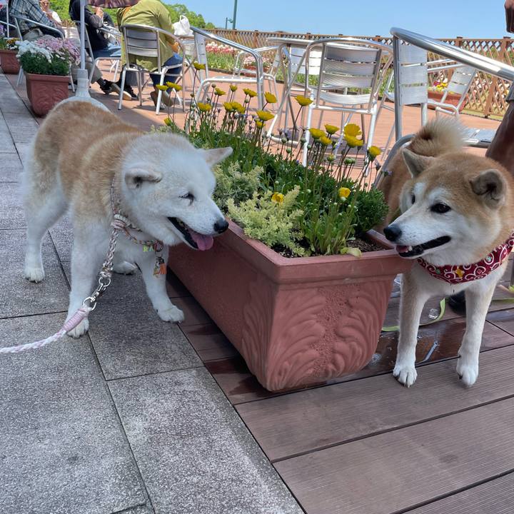 Cd77b982 2950 478c bd21 b4ee11cc6ca1 1714863206933