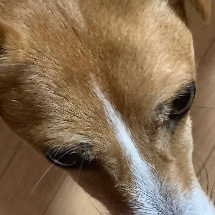 Cd77c832 0761 4551 a683 51965d0bdf3e 1569038133372