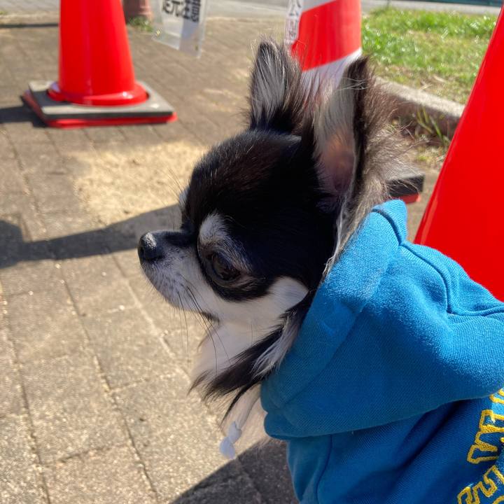 Cd77ca50 9a21 4aa9 aa96 64ab2f22cb55 1614489042357