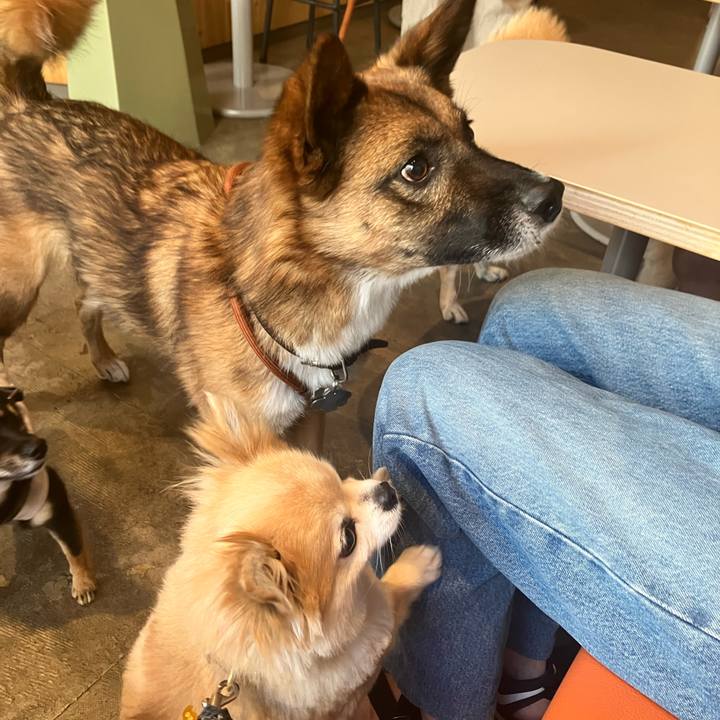 Cd77d1e0 84da 4de3 9513 60684216e87b 1753194519157