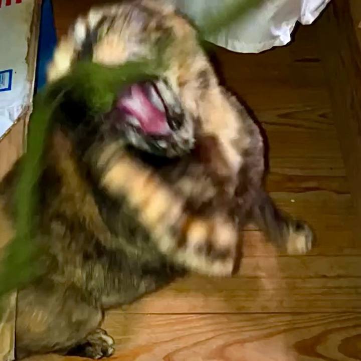 Cd77e00f 9123 45ca 8bf6 c6cf1b3369c2 1743626564282