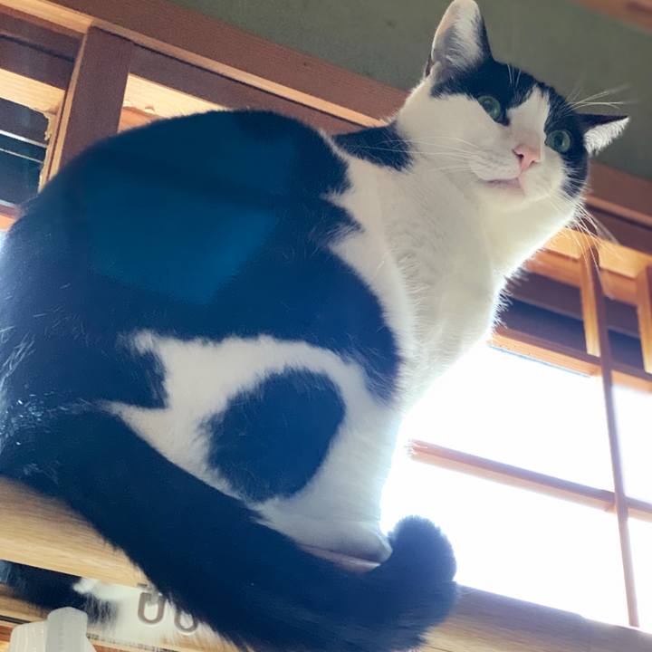 Cd77f886 23aa 4d0d bcb8 d023ef1f5c99 1549860832314