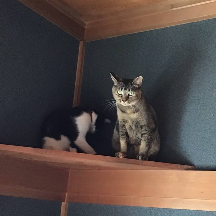 Cd78092c 91f8 4f68 aa0f 85888754de39 1630023976868