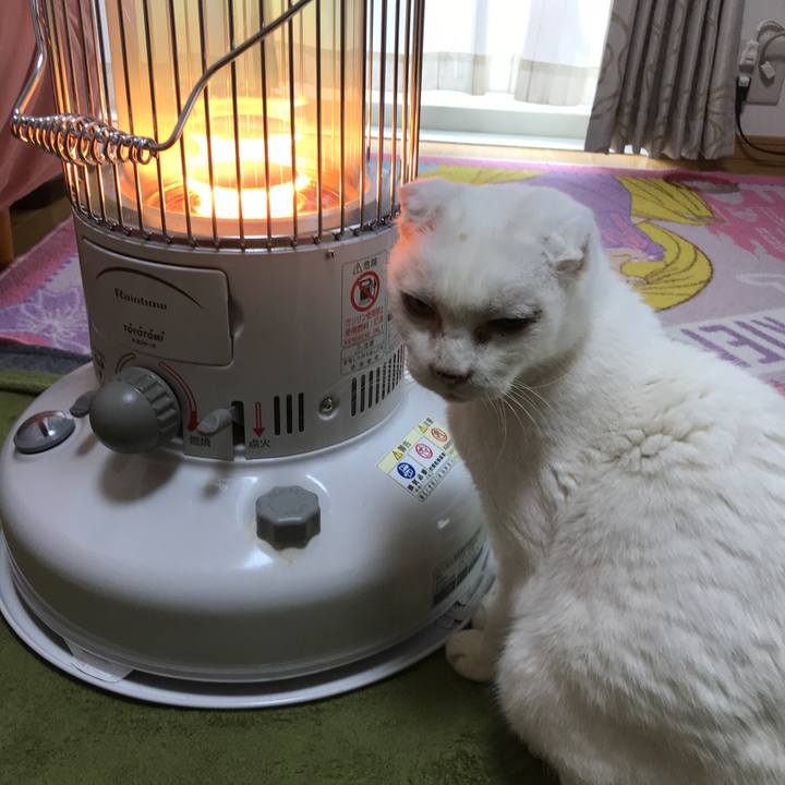 Cd781325 35e9 4d3a b0e2 940d6402582a 1522892642567