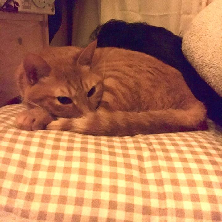 Cd78478f 74c6 4432 b4af 2767c0dac901 1577110123020