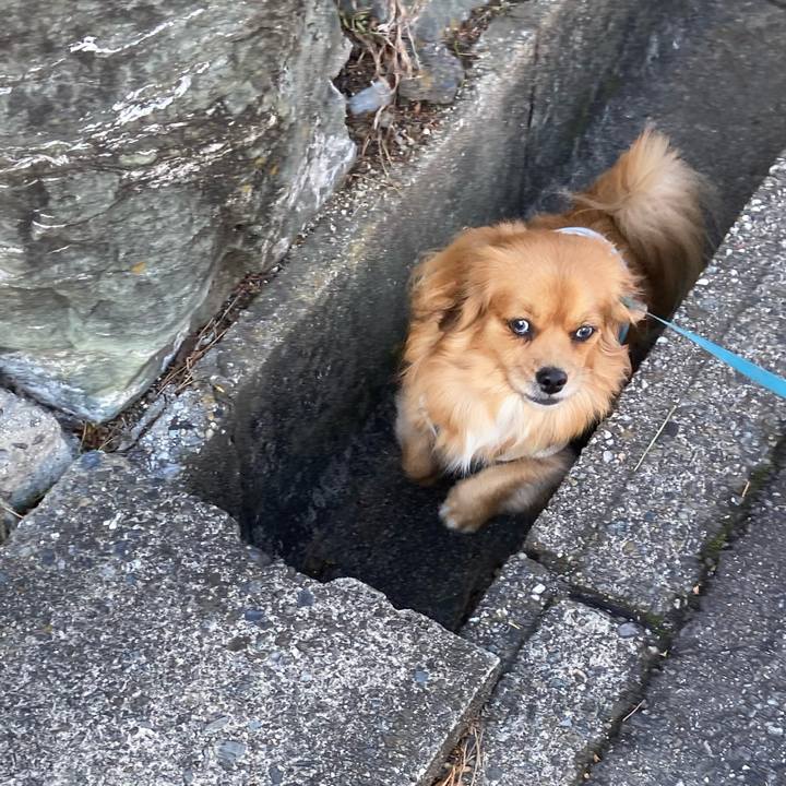 Cd788731 8fed 406b a82d 48580e8cc18e 1577490667601