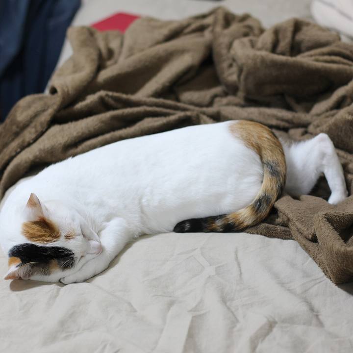 Cd78913c 5a09 41ca a065 fa76afacb358 1596455210490