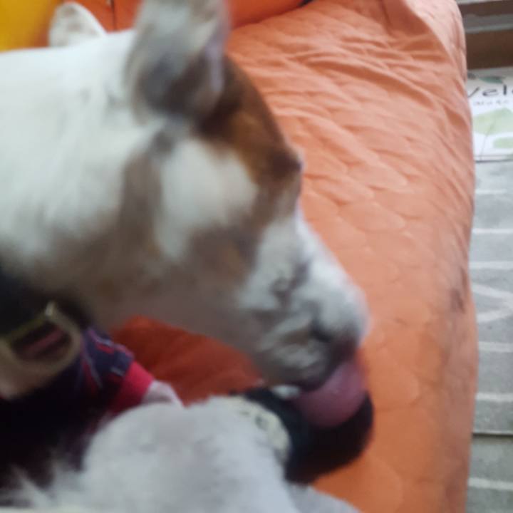 Cd78916f 4875 422c 9d86 6caff2eee566 1548892063402