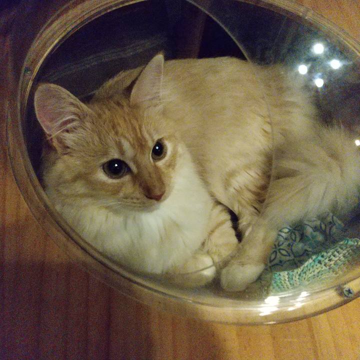 Cd78ad92 a0f0 439b b3f8 4a05ff55942c 1624457323688