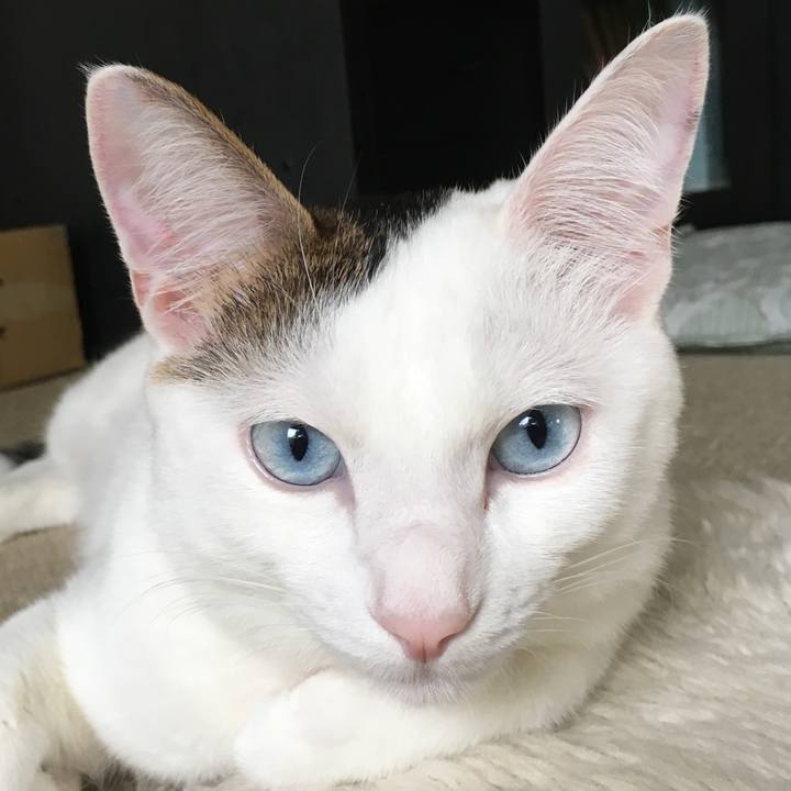 Cd78fa25 be31 4fe5 bb0a 5bce39044129 1508546249782