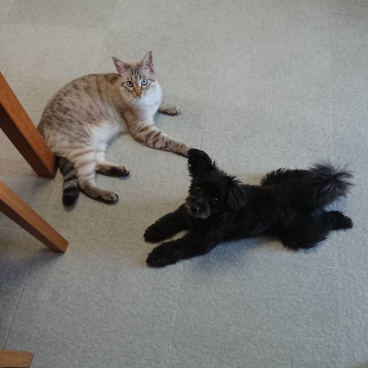 Cd79039b 5982 4a54 a3d2 ed3577c1ec6f 1533078032976