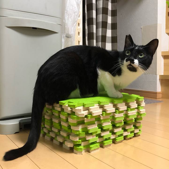 Cd792a69 f7ae 4e58 9f6e 43eb7da830df 1563479711719