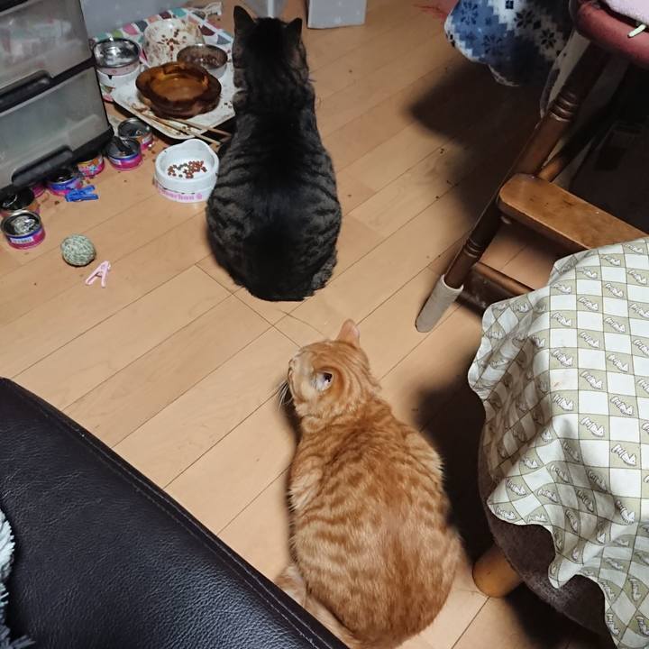 Cd793f28 949b 4960 88da e55cef4c883b 1643229792714