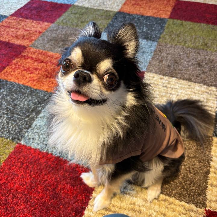 Cd794697 834f 42b7 9da1 e7d3efd61f72 1746895409411