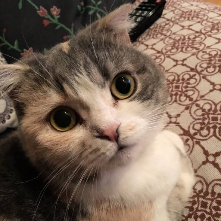 Cd796e76 9b80 4d81 b132 572cc3cf63c3 1538825427210