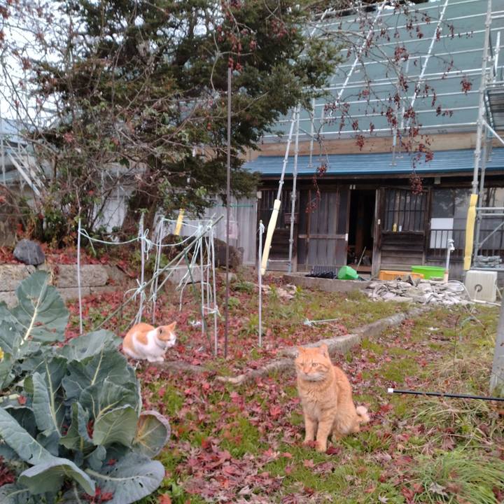 Cd79aaf1 383f 4e3a a14a da56888dea83 1732606077773