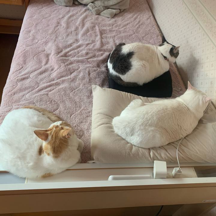 Cd79ed4e 4d20 4bae a725 3e2eb5f83ba6 1641165563224